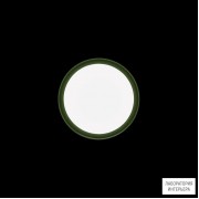 Ares 533006 — Настенно-потолочный светильник Anna210 Mid-Power LED / Bicolour Structure White-Green