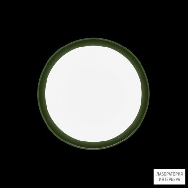 Ares 533016 — Настенно-потолочный светильник Anna310 Mid-Power LED / Bicolour Structure White-Green