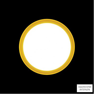Ares 533017 — Настенно-потолочный светильник Anna310 Mid-Power LED / Bicolour Structure White-Yellow