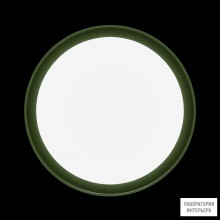 Ares 533026 — Настенно-потолочный светильник Anna410 Mid-Power LED / Bicolour Structure White-Green