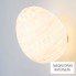 Celine Wright Applique Tamago GM — Светильник настенный накладной Applique Tamago