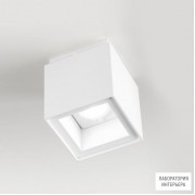 Egoluce 5561.01 W — Потолочный накладной светильник ALEA