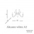 Euroluce Lampadari Alicante white A2 shade — Настенный накладной светильник ALICANTE