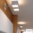 OLIGO 41-920-20-06 — Потолочный накладной светильник LX 2