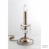 Orion LA 4-1163 1 silber-gold (1xE14) — Настольный светильник Miramare table lamp, silver-gold finish without shade