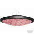 LZF CERV AT BK LED DIM0-10V 32 Black-Pink — Потолочный подвесной светильник Cervantes